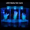 thumbnail image 4 of LED Light Acrylic Three Splits Betta Fish Bowl Triple Bow Fighting Isolation Breed Box for Aquarium, 4 of 8