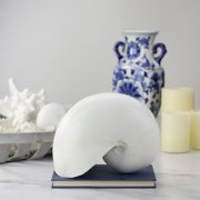 Koopman International 8.5 Gray Nautical Round Snail Shell Table Top Decoration