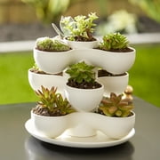 The HC Companies 8 Pixie Indoor Stacking Succulent Planter Pot, Vanilla Bisque