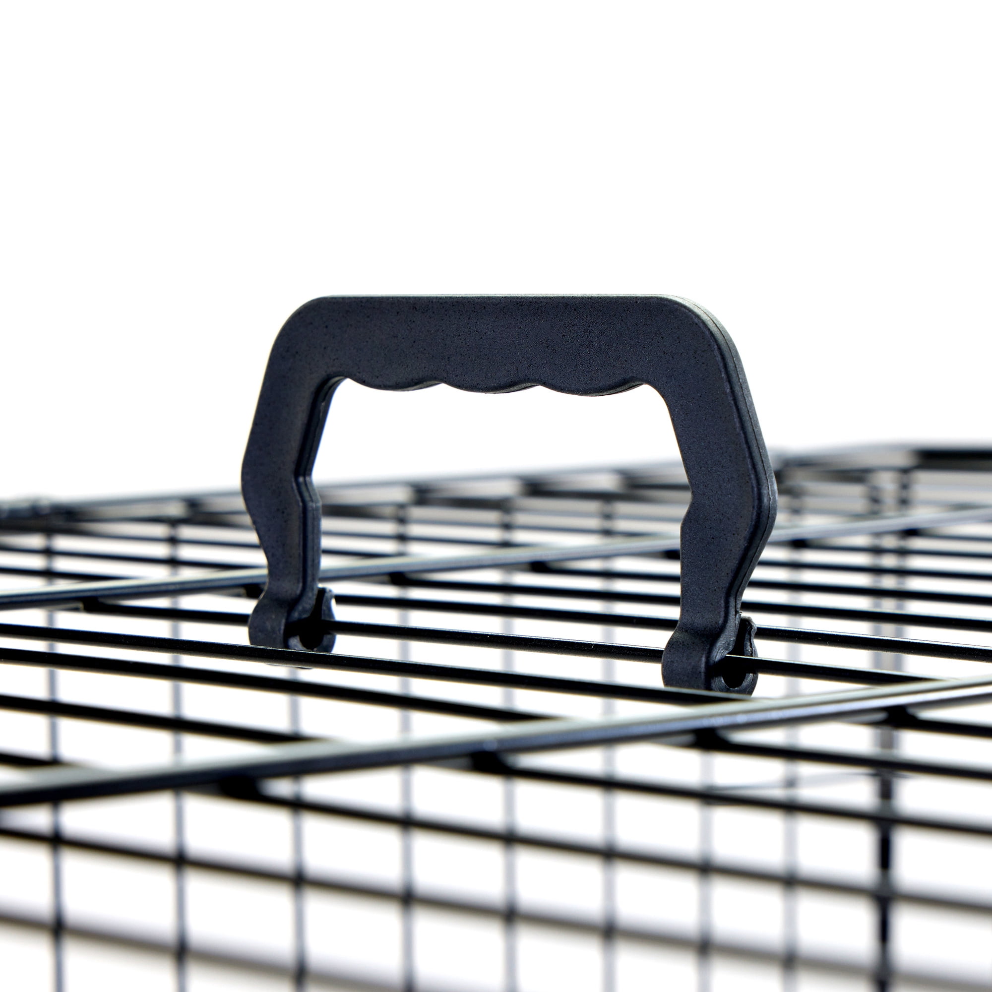 Carlson Secure Foldable Single Door Metal Dog Crate, Medium, Black, 30-Inch