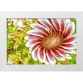 thumbnail image 1 of Murdock, Ramona 18x13 White Modern Wood Framed Museum Art Print Titled - Floral Twist, 1 of 4