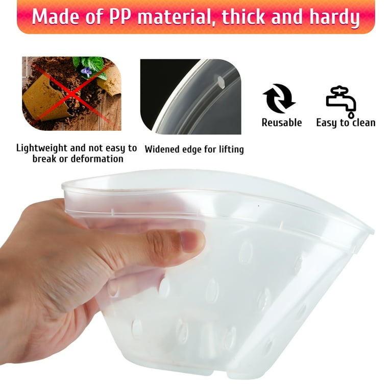 Fabulas Clear Orchid Pots with Saucers, 5.5 Inch, 8-Pack photo 2