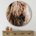 thumbnail image 2 of Designart 'Close Up Of Fluffy Curly Alpaca' Farmhouse Circle Metal Wall Art 36x36 - Disc of 36, 2 of 5
