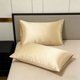 thumbnail image 1 of Fundas de almohada de terciopelo Sobres Estilo 2 pack • Fundas refrescantes para almohadas de verano • Ropa de cama suave para el pelo y vegana para suavizar arrugas, 1 of 6