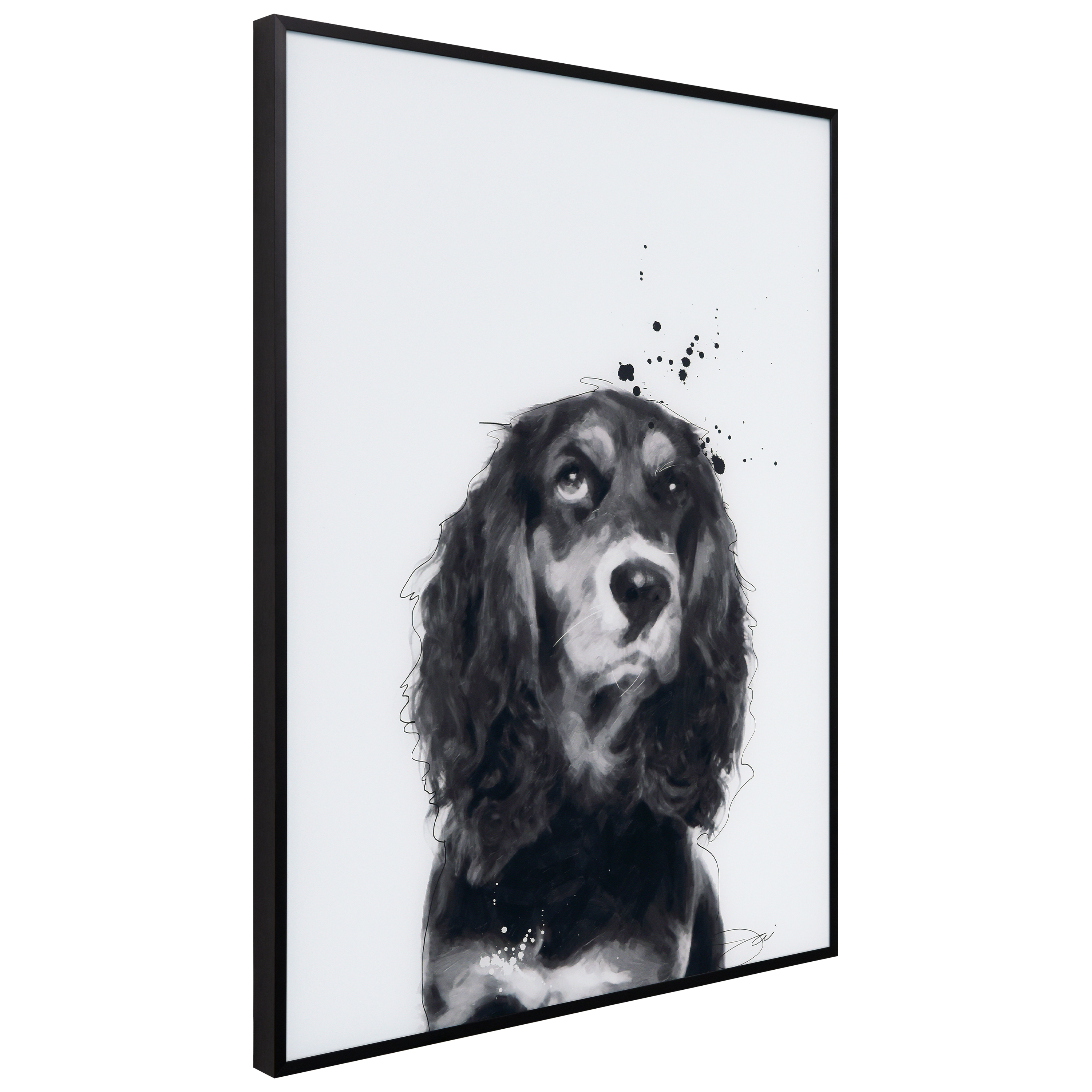 "Cocker Spaniel" Black and White Pet Portraits on Reverse Printed Art Glass, Minimally Encased on Black Anodized Aluminum Frame