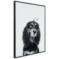 thumbnail image 3 of "Cocker Spaniel" Black and White Pet Portraits on Reverse Printed Art Glass, Minimally Encased on Black Anodized Aluminum Frame, 3 of 10