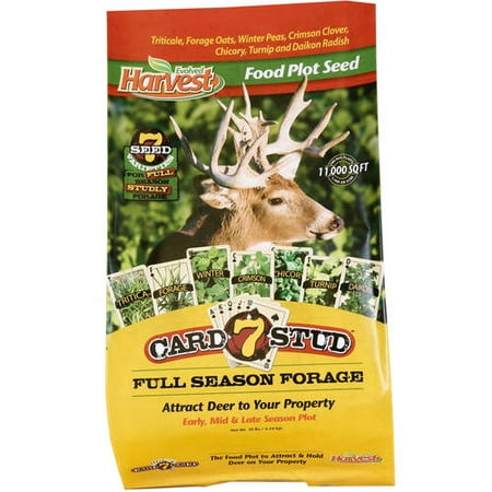 Evolved Harvest Card 7 Stud™ Full Season Forage Food Plot Seed, 10 lb. (Best Whitetail Food Plot Seed)