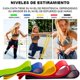 thumbnail image 2 of Kit 5 Ligas de Plástico Resistencia Ejercicio Yoga Glúteo Generico RESILIENT, 2 of 6