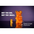thumbnail image 2 of Big Bear Assorted Giant Gummy Bears 6-Pack, 2 of 5