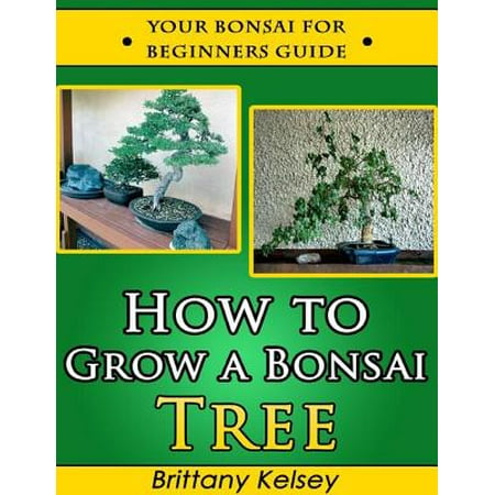 How to Grow a Bonsai Tree: Your Bonsai for Beginners Guide - (Best Bonsai Trees For Beginners)