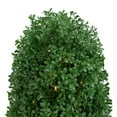 thumbnail image 3 of 18" Pre-Lit Artificial Boxwood Cone Topiary Tree with Round Pot  Clear Lights - 9, 3 of 5