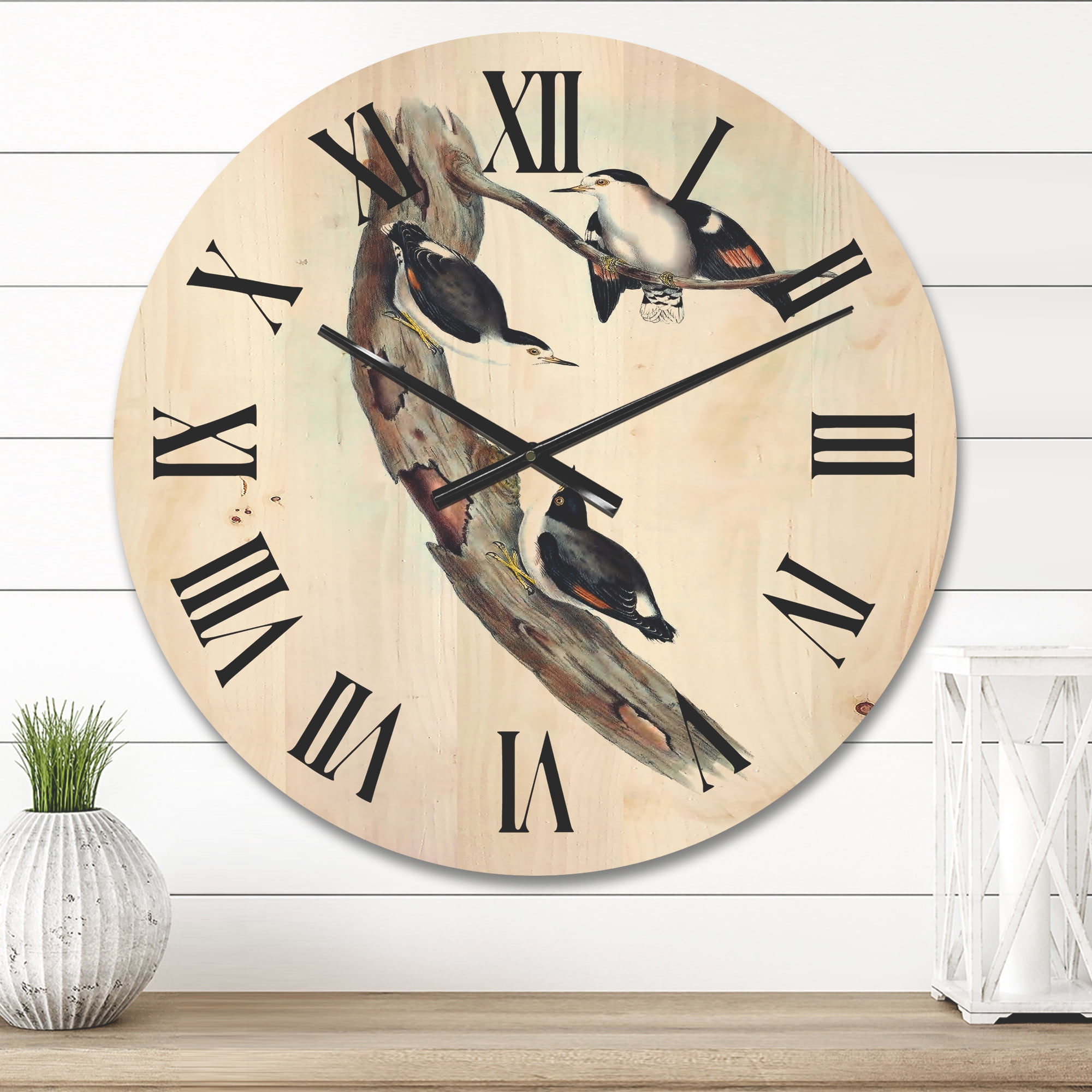 Designart 'Ancient Australian Bird Illustrations I' Traditional Wood Wall Clock