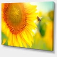 thumbnail image 2 of Beautiful Sunflowers Blooming - Large Animal Canvas Art Print, 2 of 4