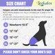 thumbnail image 2 of Pañales para perros Leekalos reutilizables para mujeres, muy absorbentes, 2 of 7
