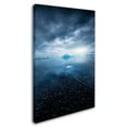 thumbnail image 2 of Trademark Fine Art 'Floating' Canvas Art by Philippe Sainte-Laudy, 2 of 3