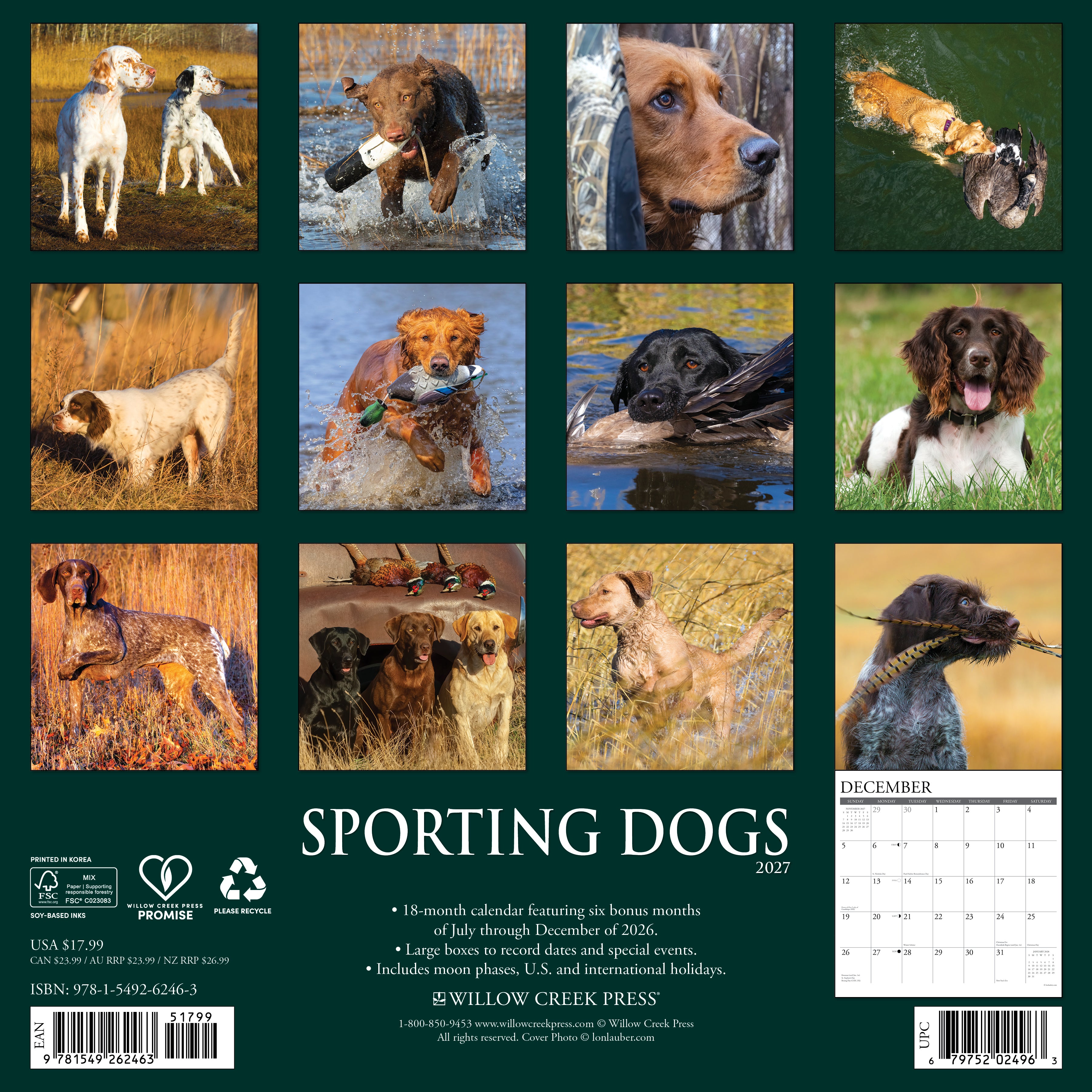 Willow Creek Press, Sporting Dogs 2027 Wall Calendar