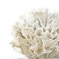 thumbnail image 2 of Regina Andrew 20-1022 Ribbon 8.5" Wide Coral - White, 2 of 4