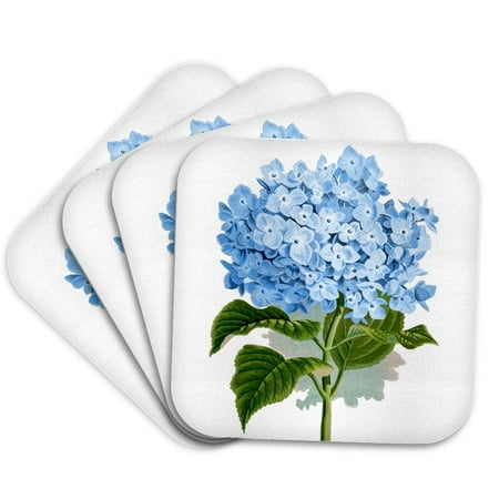 

3dRose Blue hydrangea flowers vintage art - floral drawing - summery - flowery spring - antique image Set of 4 Coasters - Soft