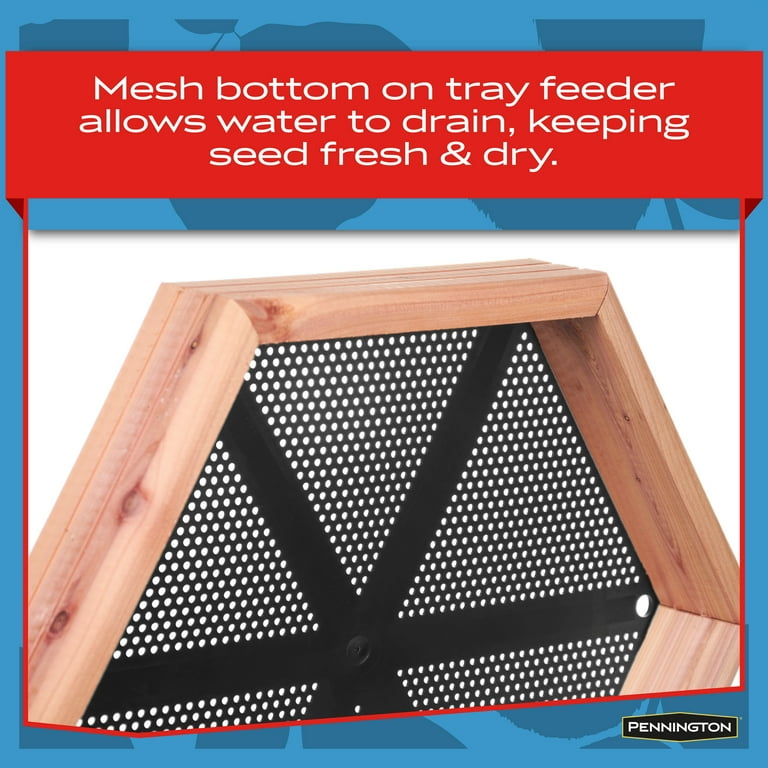 Pennington Cedar 2 in 1 Wild Bird Bath and Wild Bird Feeder, 4 lb. Capacity