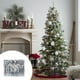 thumbnail image 1 of Adorno navideño colgante en forma de bola para árbol | Decoración navideña de plástico con forma para interiores o exteriores, 1 of 9