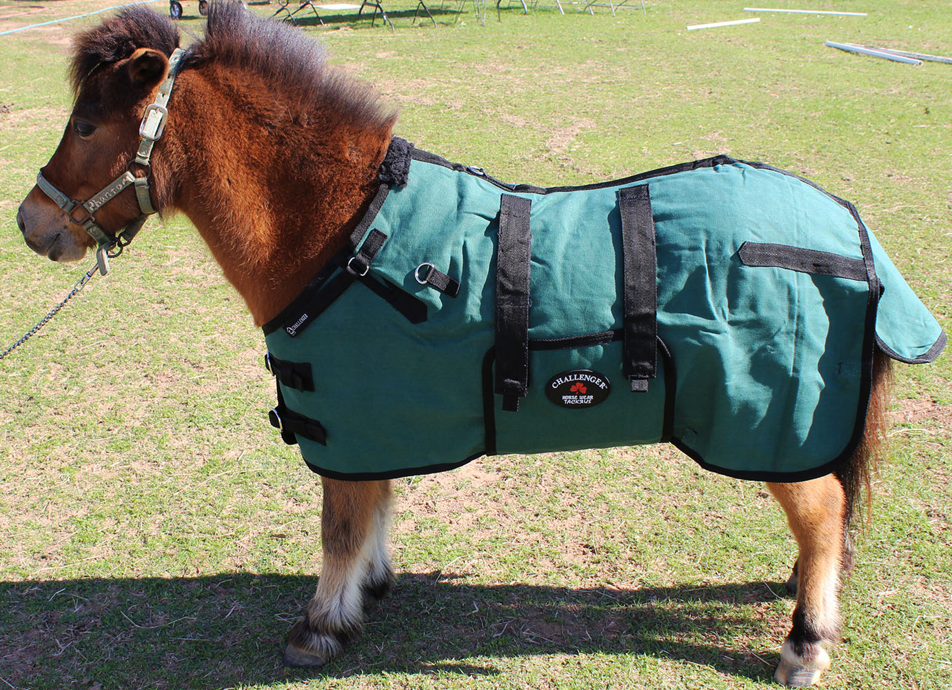 36" Canvas Duck Turnout Water Resistant Foal Winter Blanket 51701
