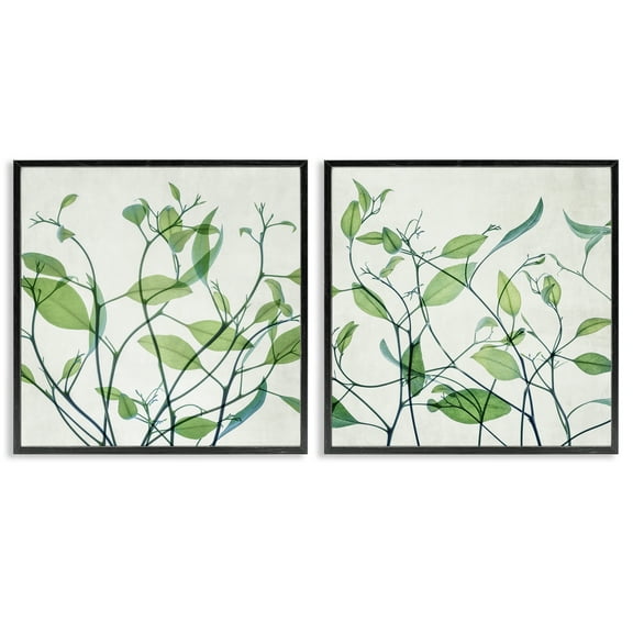 Stupell Industries Green Botanical Leaves Xray Plants & Flowers Painting Black Framed Art Print Wall Art, 12 x 12, Set of 2
