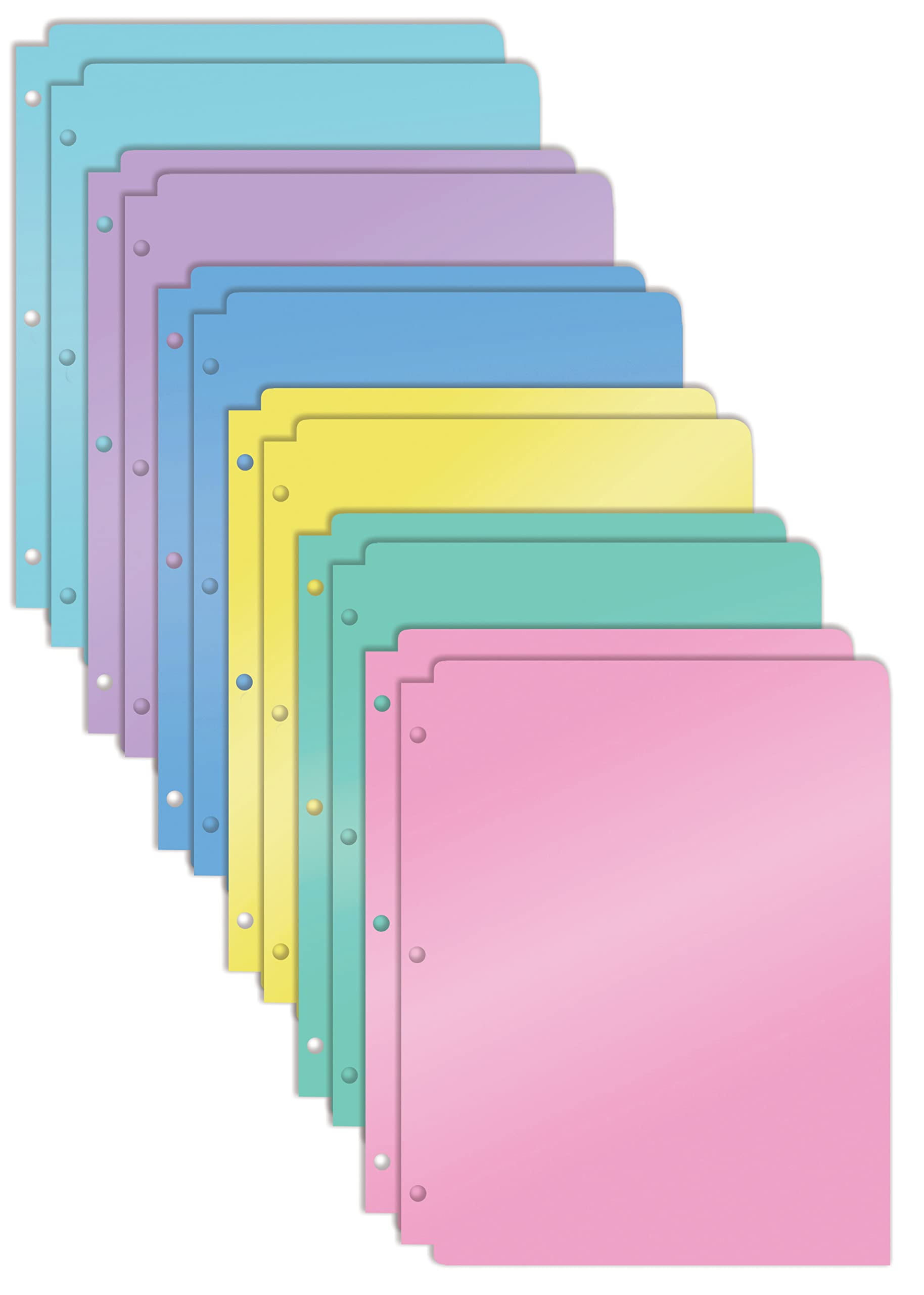 3 Hole Punch Pocket Folders, Bulk Pack, Sturdy Plastic 2 Pocket Folders