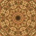 thumbnail image 1 of Ahgly Company Indoor Square Patterned Carrot Orange Area Rugs, 6' Square, 1 of 6
