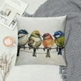 thumbnail image 2 of PRATYUS  Watercolor Birds Pillows Decorative Throw Pillows ,Hand-Painted Oil Painting Rustic Birds Square Pillow Cases,Cute Colorful Spring Summer Decorations for Home Couch Sofa Outdoor, 2 of 5