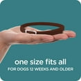 thumbnail image 5 of Sergeant's Guardian Flea & Tick Collar for Dogs, 5 of 5