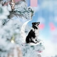 thumbnail image 3 of Liquidation & Promo, Dog Lover Christmas Ornament, Cute Dog Pendent, 2PC Set, Ceramic Material, for Xmas Tree, Home Decor, Gift Idea, Artistic Design, Family Collection Akmoler Up to 60% OFF, 3 of 8