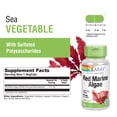 thumbnail image 2 of Solaray Red Marine Sea Algae 375mg | Sea Vegetable Supplement | Healthy Immune Function & Skin Support | Non-GMO | Vegan | Lab Verified | 100 VegCaps, 2 of 6