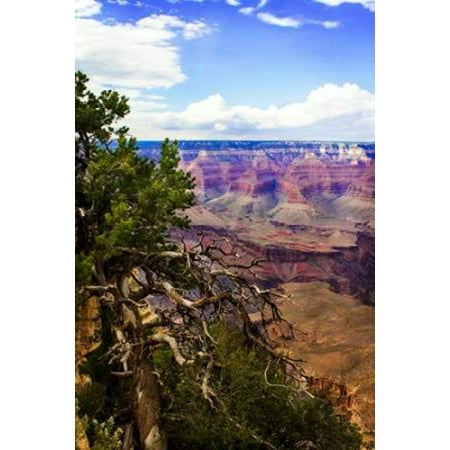 - The Canyon Rim II Canvas Art - Alan Hausenflock (20 x 28)