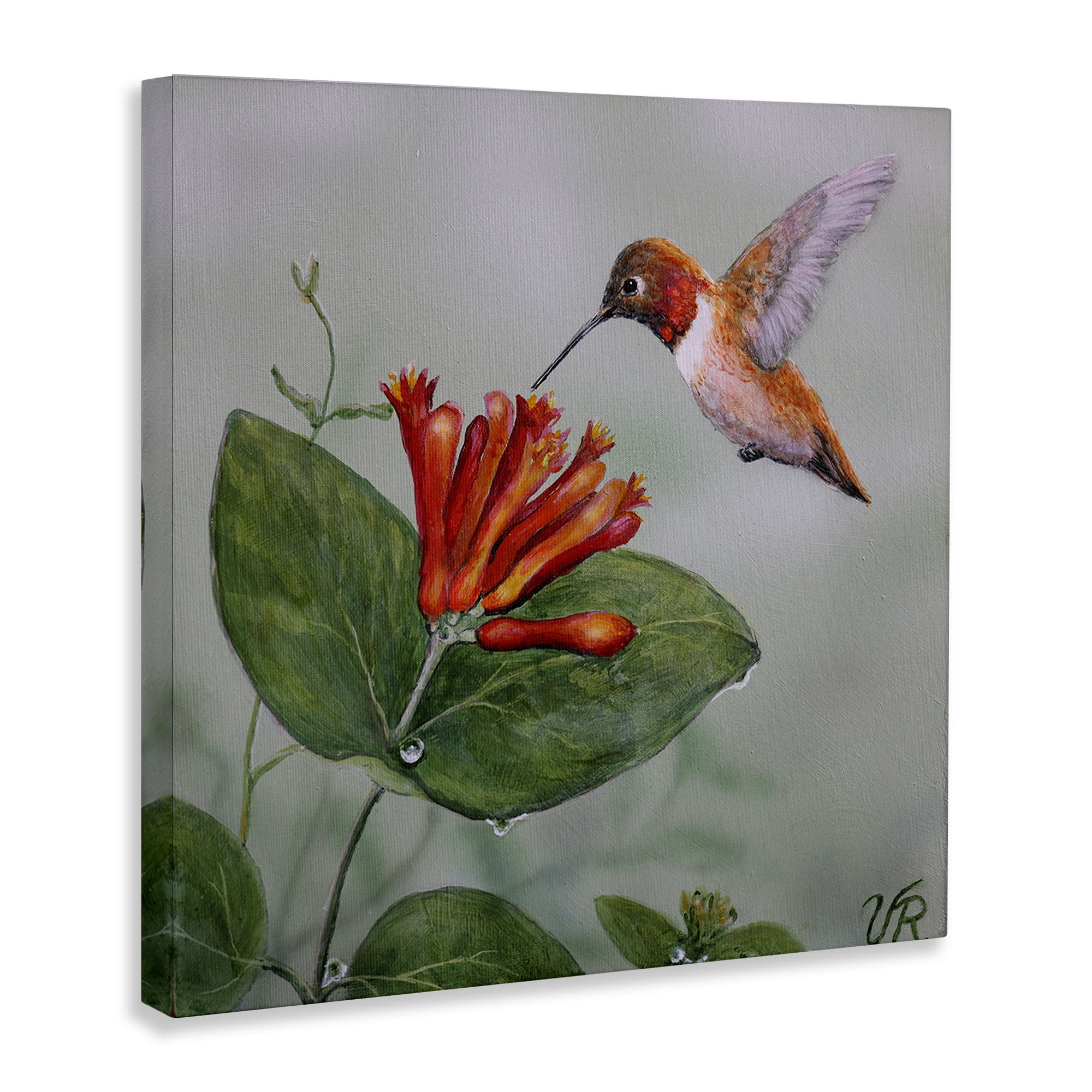 Stupell Industries Red Hummingbird & Flower Animals Painting Wrapped Canvas Art Print Wall Art, 36 x 36