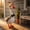 237 - Brown, variant on Aurorax Fall Porch Goose Outfit 23"/19 inch/17in,Goose Clothes for Cement Goose Porch Goose,White All the Season Sheep Porch Goose Accessories for Garden Lawn Harvest Decor for Home