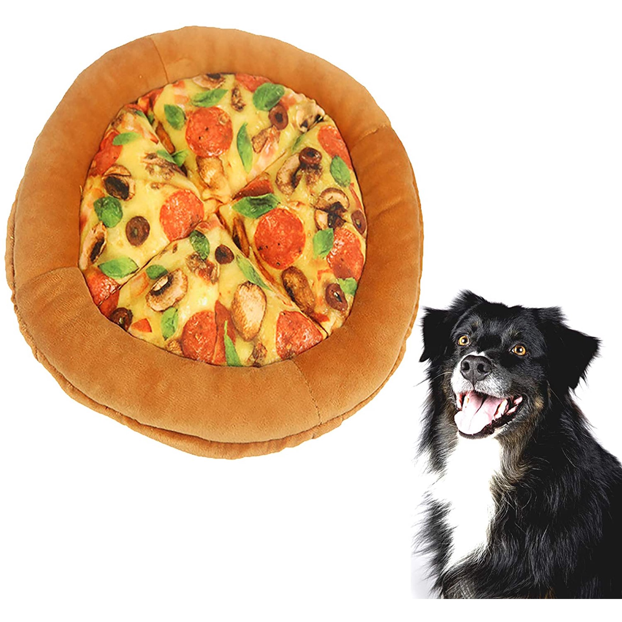 Can My Dog Have Pizza