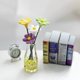 thumbnail image 1 of Mini Flower Bud Vase Mini Flower Vase Portable Transparent heqiyong LED, 1 of 2