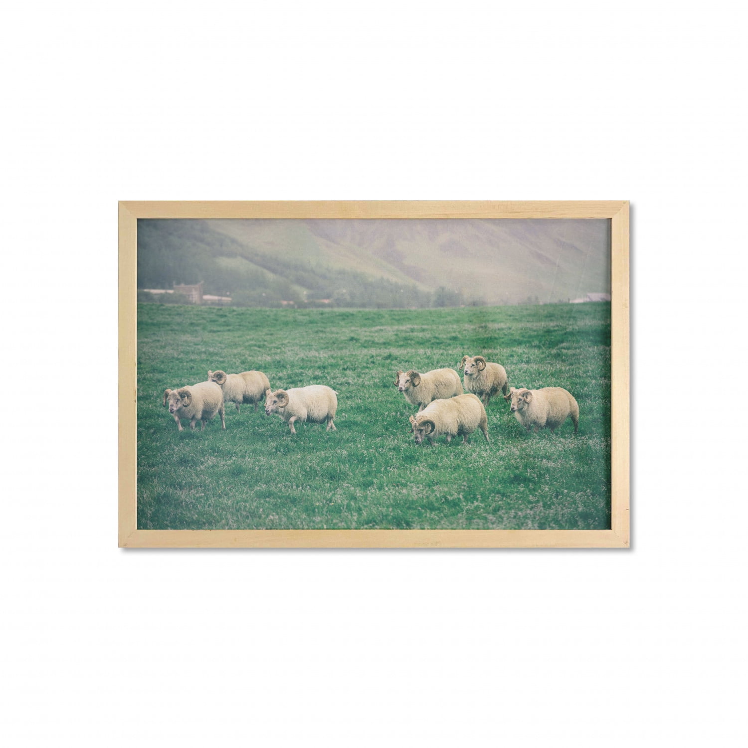 Farm Animal Wall Art with Frame, Husbandry Themed Photo with Sheep