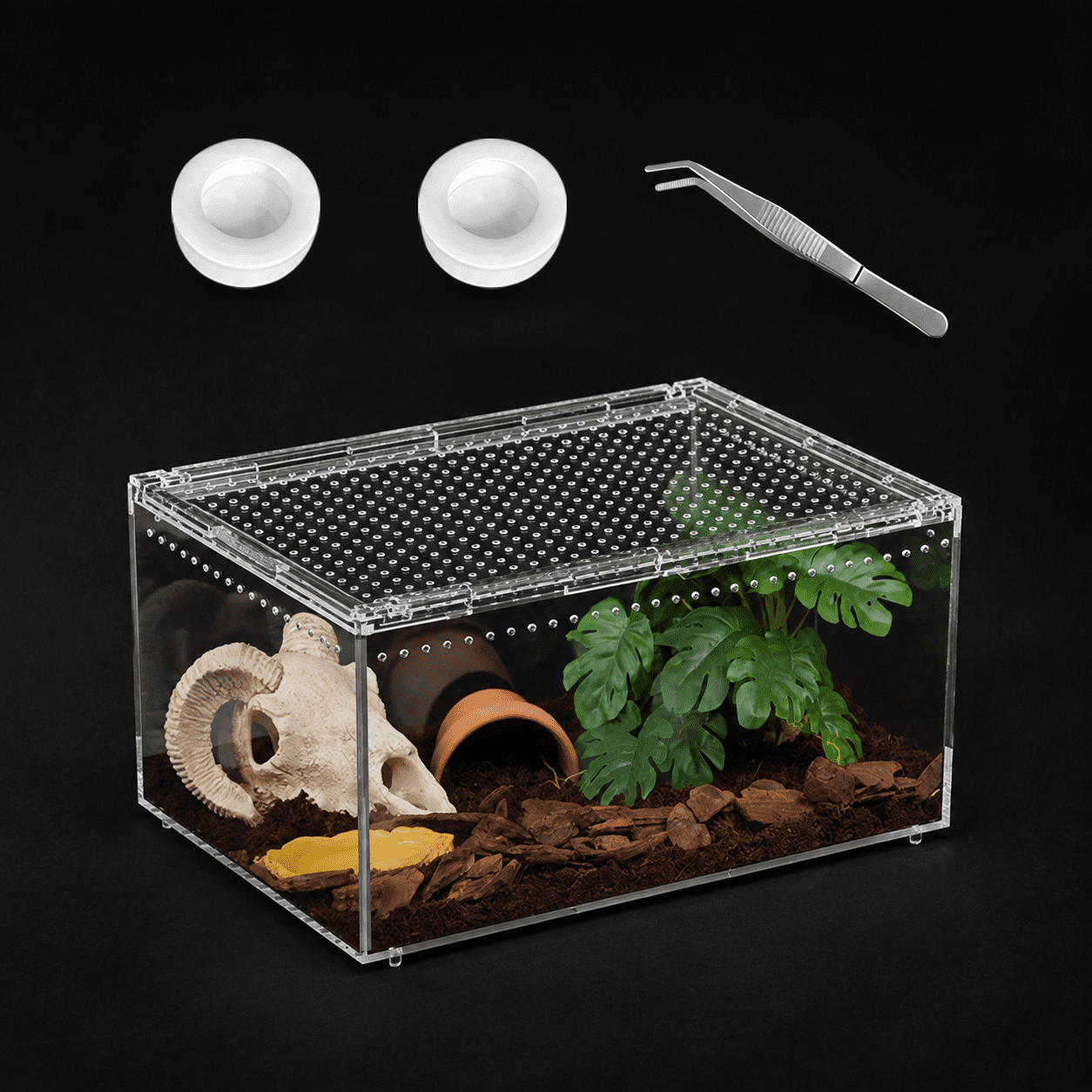4 Grids Pet Reptile Breeding Box Insect Spider Frog Feeding Tank