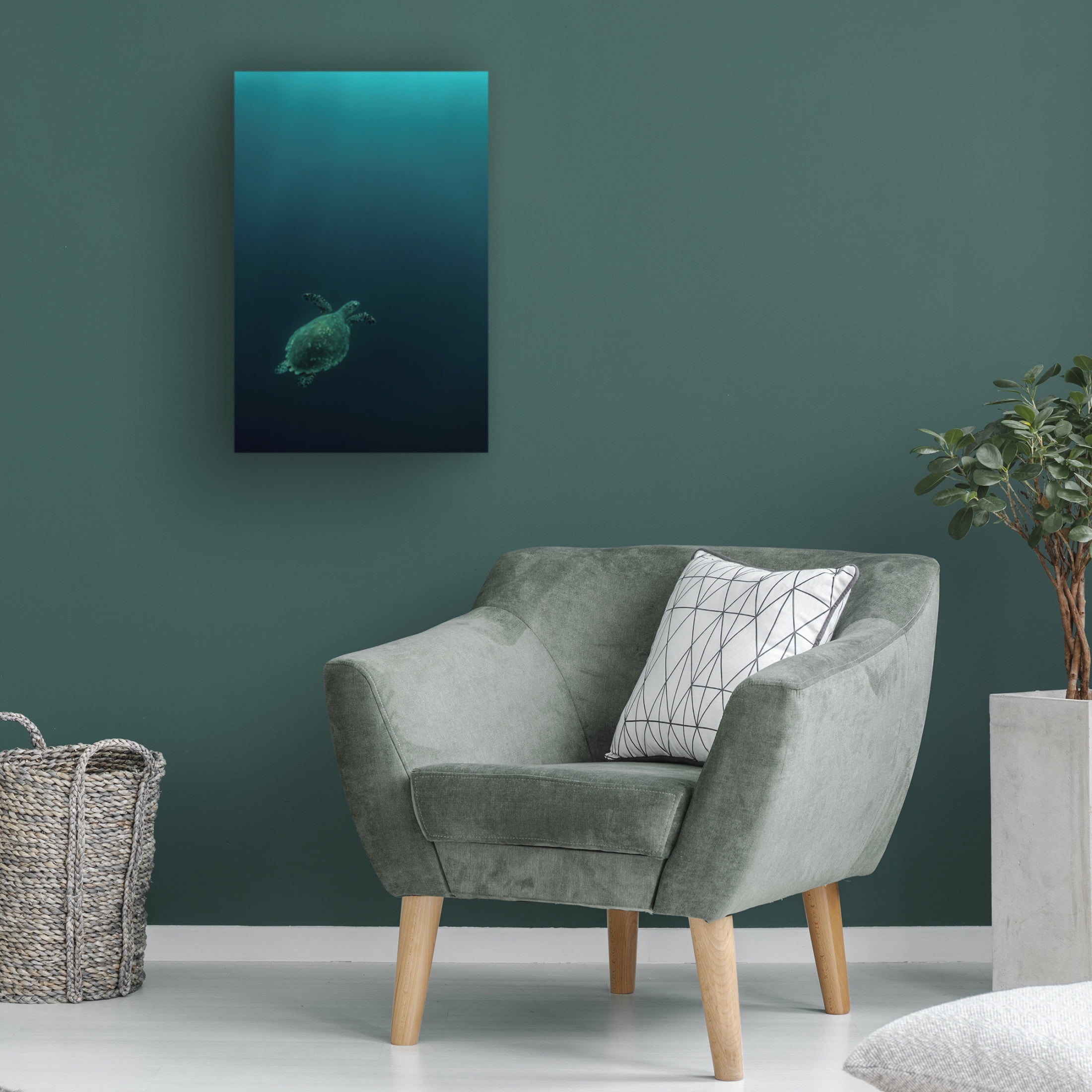 Canvas Wall Art - Serge Melesan 'The Fly Of The Hawksbill' Wall Art for Living Room, Bedroom, or Office Décor by Trademark Fine Art - 30 x 47 Inches