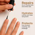 thumbnail image 3 of Aceite para cutículas C CARE, sin fragancia, repara, hidrata, 75 ml, 3 of 7