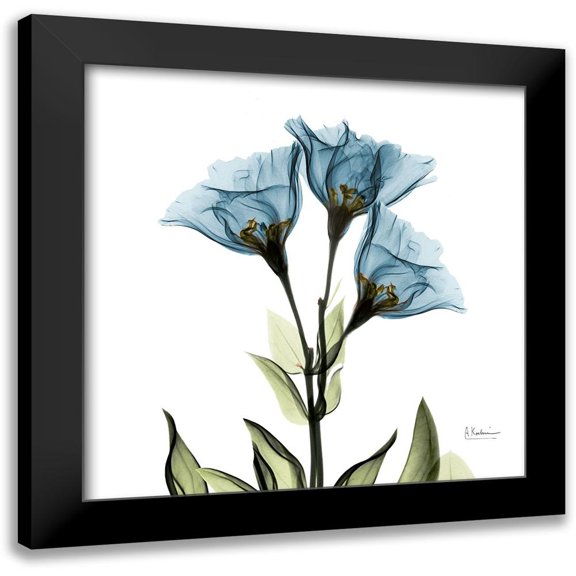 Koetsier, Albert 12x12 Black Modern Framed Museum Art Print Titled - Gentian Azure L301