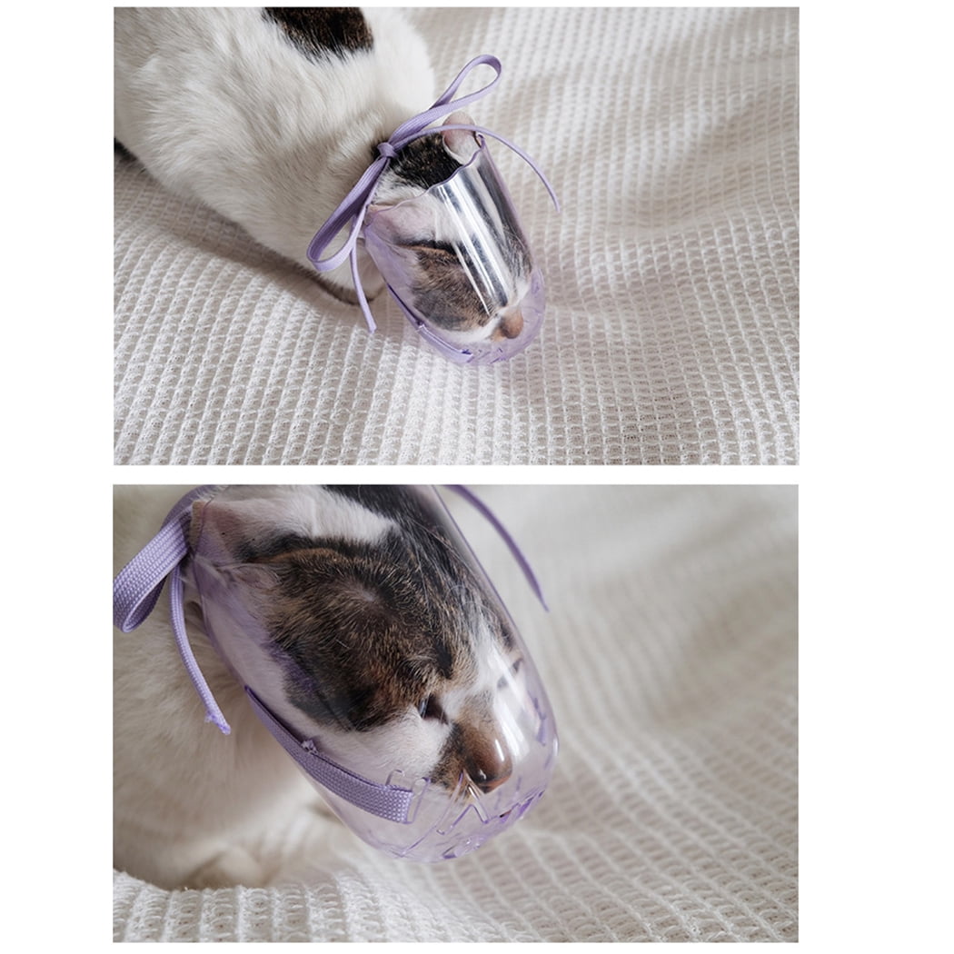 cat muzzle ball cat muzzle ball