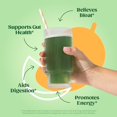 Super Greens Powder Smoothie & Juice Mix Probiotics for Digest