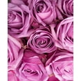 thumbnail image 4 of KaBloom :96 Purple Roses, Next-Day Delivery, Gift for Every Occasion., 4 of 5