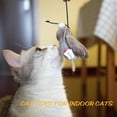 thumbnail image 4 of Juguete Para Gatos, Juguete Interactivo Para Gatos, Juguete Para Masticar Con Sonido Para Interiores, Juguete Suave Para Gatos seitruly PT002313-02, 4 of 6