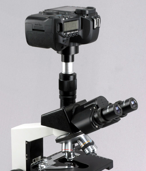 Телеконвертер kenko miltol 2x. Am scope. Digital microscope 3m. Am scope. Am scope.