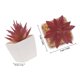 thumbnail image 2 of TEHAUX 10Ud Adornos Decorativos De Suculentas Y Cactus Artificiales Para Hogar Y Oficina, 2 of 6