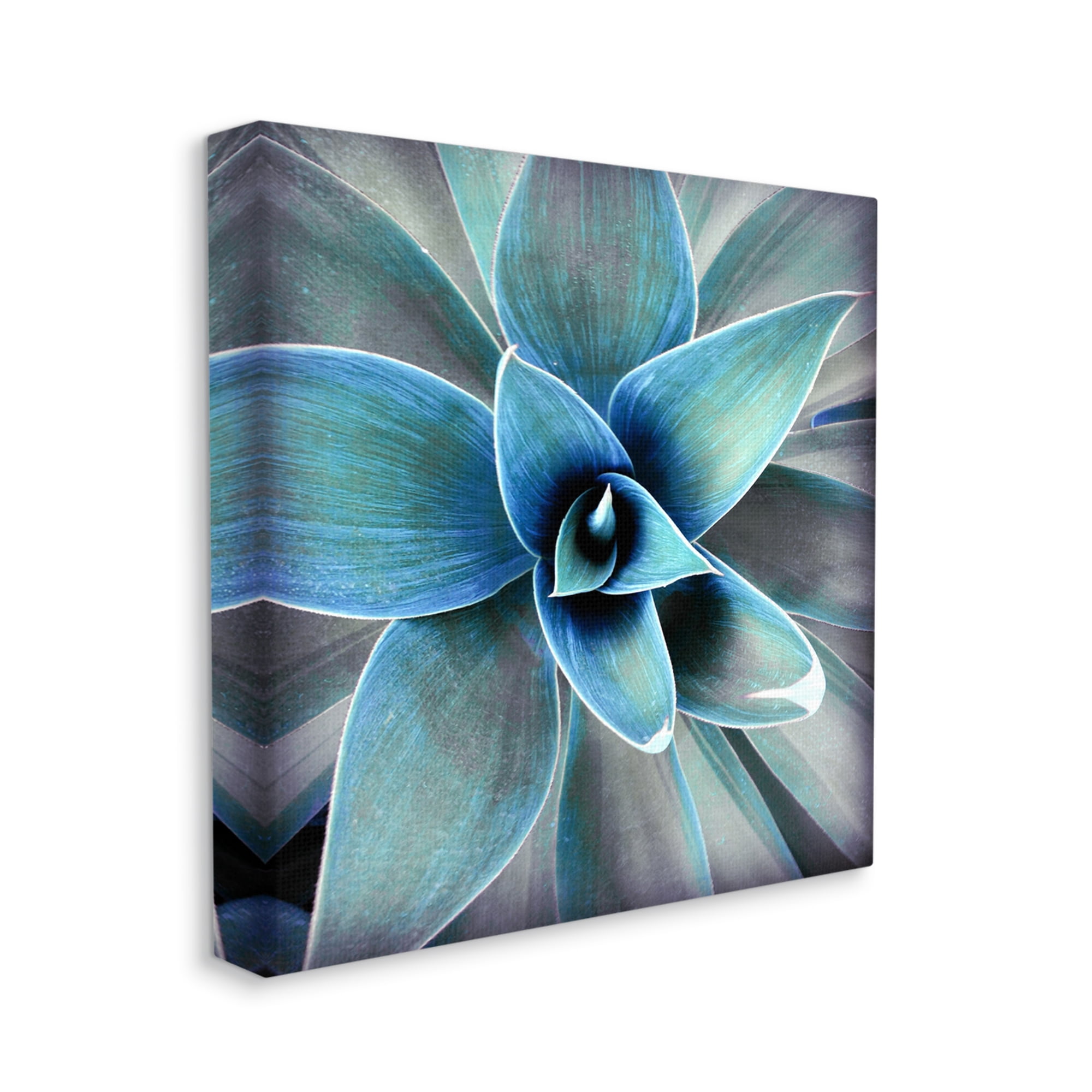 Stupell Modern Close Up Plant Leaves Botanical & Floral Photography Gallery Wrapped Canvas Print Wall Art