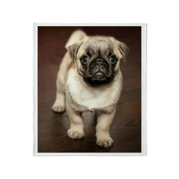 CafePress - Curious Pug Puppy Throw Blanket - Soft Fleece Throw Blanket, 50"x60" for All Ages
